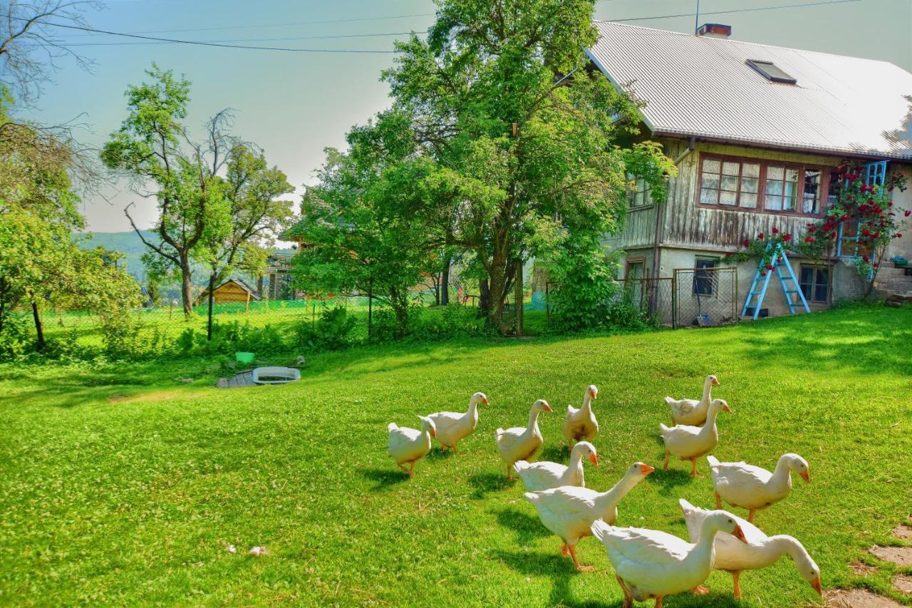 Domki U Kuliga Wisła Exterior foto